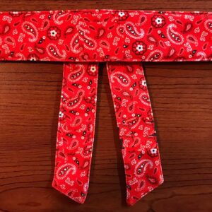 Custom Head Band Style 2